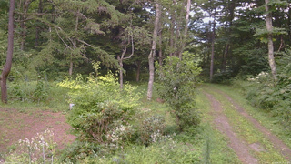 長野県菅平高原 ゆたか山荘 坂上 2026/08/18 17:30