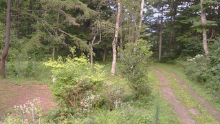 長野県菅平高原 ゆたか山荘 坂上 2026/08/18 17:45