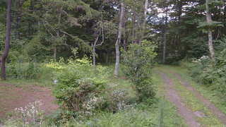 長野県菅平高原 ゆたか山荘 坂上 2026/08/18 18:00