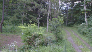 長野県菅平高原 ゆたか山荘 坂上 2026/08/18 18:15