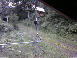 長野県菅平高原 ゆたか山荘 南側 2026/08/19 05:15