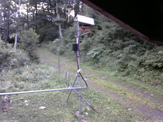 長野県菅平高原 ゆたか山荘 南側 2026/08/19 05:30