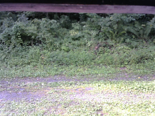 長野県菅平高原 ゆたか山荘 東側(坂下) 2026/08/19 07:45