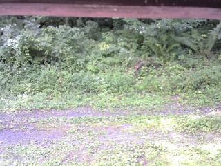長野県菅平高原 ゆたか山荘 東側(坂下) 2026/08/19 10:15