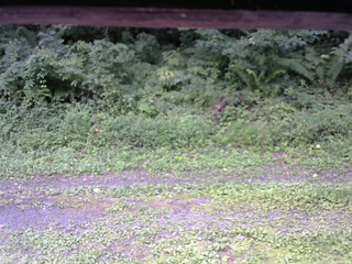 長野県菅平高原 ゆたか山荘 東側(坂下) 2026/08/19 10:30