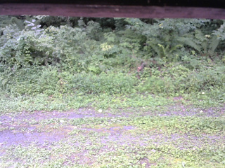 長野県菅平高原 ゆたか山荘 東側(坂下) 2026/08/19 11:15