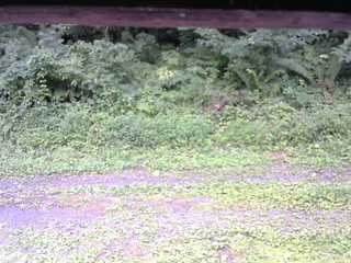 長野県菅平高原 ゆたか山荘 東側(坂下) 2026/08/19 11:45