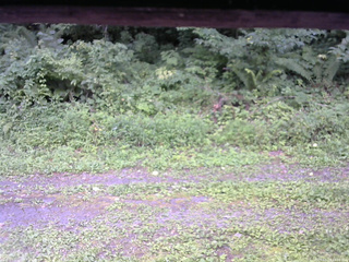 長野県菅平高原 ゆたか山荘 東側(坂下) 2026/08/19 14:00