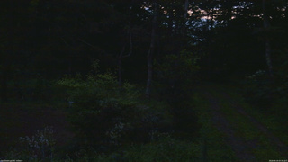 長野県菅平高原 ゆたか山荘 坂上 2026/08/19 05:00