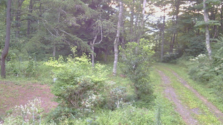 長野県菅平高原 ゆたか山荘 坂上 2026/08/19 05:30