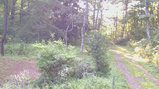 長野県菅平高原 ゆたか山荘 坂上 2026/08/19 06:00