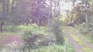長野県菅平高原 ゆたか山荘 坂上 2026/08/19 06:15