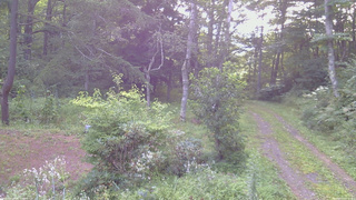 長野県菅平高原 ゆたか山荘 坂上 2026/08/19 06:30