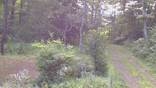 長野県菅平高原 ゆたか山荘 坂上 2026/08/19 07:00