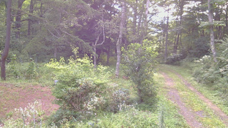 長野県菅平高原 ゆたか山荘 坂上 2026/08/19 07:15