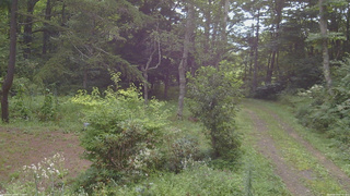 長野県菅平高原 ゆたか山荘 坂上 2026/08/19 07:45