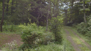 長野県菅平高原 ゆたか山荘 坂上 2026/08/19 08:15