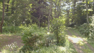 長野県菅平高原 ゆたか山荘 坂上 2026/08/19 08:30