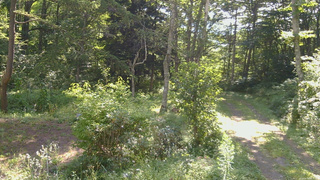 長野県菅平高原 ゆたか山荘 坂上 2026/08/19 08:45