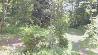 長野県菅平高原 ゆたか山荘 坂上 2026/08/19 09:00