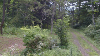 長野県菅平高原 ゆたか山荘 坂上 2026/08/19 09:15