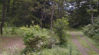 長野県菅平高原 ゆたか山荘 坂上 2026/08/19 10:30