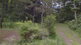 長野県菅平高原 ゆたか山荘 坂上 2026/08/19 10:45