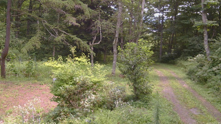 長野県菅平高原 ゆたか山荘 坂上 2026/08/19 11:15