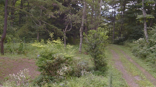 長野県菅平高原 ゆたか山荘 坂上 2026/08/19 11:30