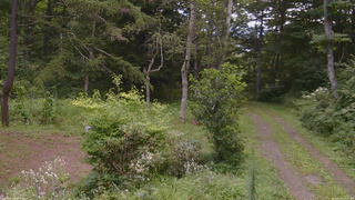 長野県菅平高原 ゆたか山荘 坂上 2026/08/19 11:45