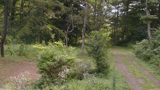 長野県菅平高原 ゆたか山荘 坂上 2026/08/19 12:00