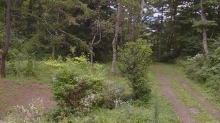 長野県菅平高原 ゆたか山荘 坂上 2026/08/19 12:15