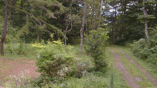 長野県菅平高原 ゆたか山荘 坂上 2026/08/19 12:30