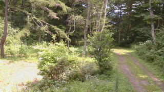長野県菅平高原 ゆたか山荘 坂上 2026/08/19 12:45