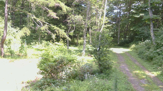 長野県菅平高原 ゆたか山荘 坂上 2026/08/19 13:00
