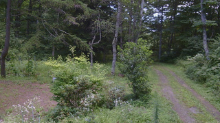 長野県菅平高原 ゆたか山荘 坂上 2026/08/19 13:15