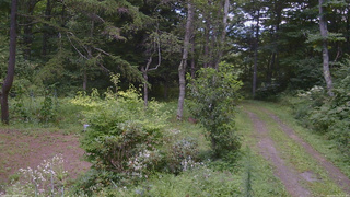 長野県菅平高原 ゆたか山荘 坂上 2026/08/19 13:30