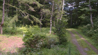 長野県菅平高原 ゆたか山荘 坂上 2026/08/19 13:45