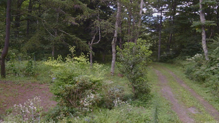 長野県菅平高原 ゆたか山荘 坂上 2026/08/19 14:00