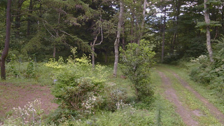 長野県菅平高原 ゆたか山荘 坂上 2026/08/19 14:15