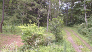 長野県菅平高原 ゆたか山荘 坂上 2026/08/19 14:30