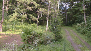 長野県菅平高原 ゆたか山荘 坂上 2026/08/19 14:45