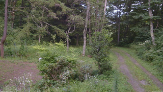 長野県菅平高原 ゆたか山荘 坂上 2026/08/19 15:00