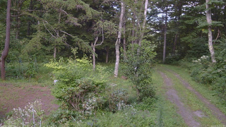 長野県菅平高原 ゆたか山荘 坂上 2026/08/19 15:15