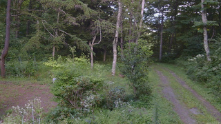 長野県菅平高原 ゆたか山荘 坂上 2026/08/19 15:30