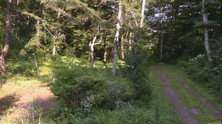 長野県菅平高原 ゆたか山荘 坂上 2026/08/19 15:45