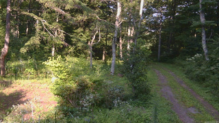 長野県菅平高原 ゆたか山荘 坂上 2026/08/19 16:00
