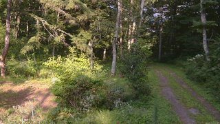 長野県菅平高原 ゆたか山荘 坂上 2026/08/19 16:15