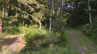 長野県菅平高原 ゆたか山荘 坂上 2026/08/19 16:30