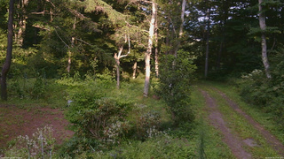 長野県菅平高原 ゆたか山荘 坂上 2026/08/19 17:00